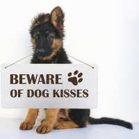 Deko-Holzschild "Beware of dogs", 30x14 cm