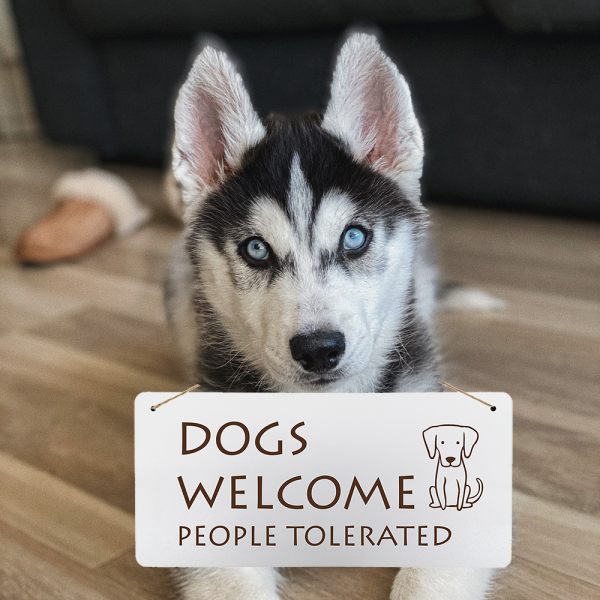 Deko-Holzschild "Dogs welcome", 30x14 cm
